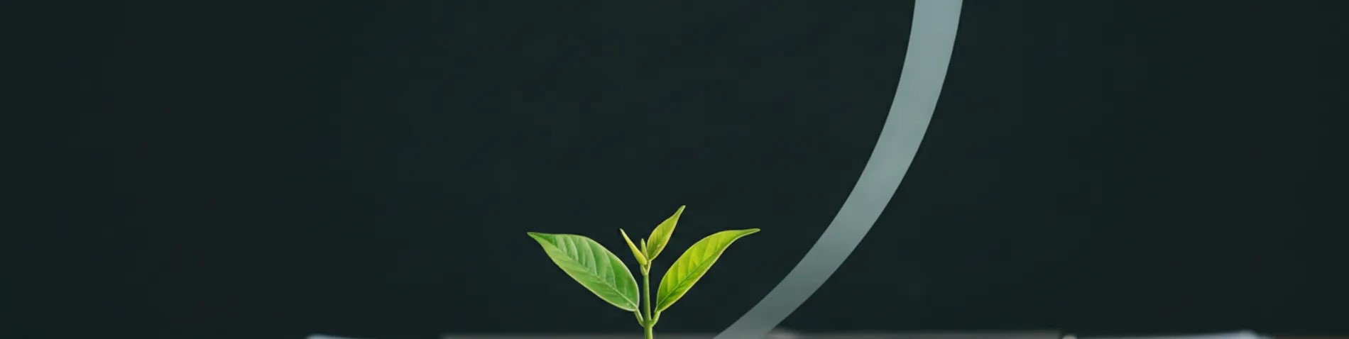 Semilla creciendo hacia un árbol con monedas como hojas sobre una mesa con un gráfico ascendente